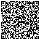 QR code with Clinton R Wasser PC contacts