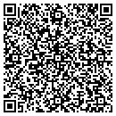 QR code with Blueskys Industries contacts