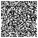 QR code with Practice Max contacts
