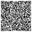 QR code with Pulau Electronics Corp contacts