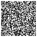 QR code with Precision Craft contacts