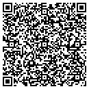 QR code with Problem Solver contacts