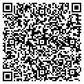 QR code with Alltel contacts