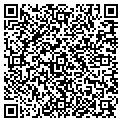 QR code with Curtis contacts