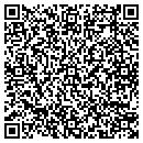 QR code with Print Systems One contacts