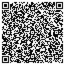 QR code with Precision Automotive contacts