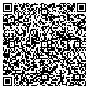 QR code with Professional Gutter contacts