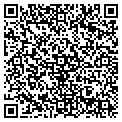 QR code with Vector contacts