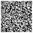 QR code with Premier Magnetics contacts