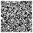 QR code with Professional Graphics contacts