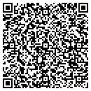 QR code with Brians Mower Service contacts