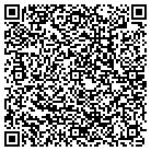QR code with Blm Electrical Service contacts