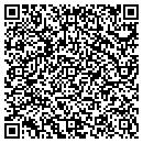 QR code with Pulse Systems Inc contacts