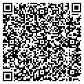 QR code with New Wok contacts