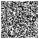 QR code with Carrier Service Inc contacts