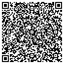 QR code with Pwa Services contacts