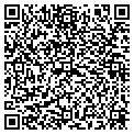 QR code with Shell contacts