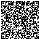 QR code with Color Connection contacts