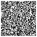 QR code with Pyramid Society contacts