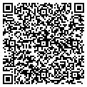 QR code with Magnum contacts