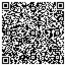 QR code with Carpet Store contacts