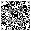 QR code with Carter's Landscape contacts