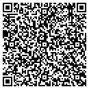 QR code with Professional Arts Lab contacts