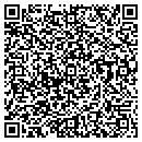 QR code with Pro Workshop contacts