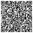 QR code with Pulliam Co contacts