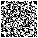 QR code with Carter Printing & Signs contacts