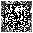 QR code with Carey Niemi & Stout contacts