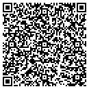 QR code with Borg's Pet Safe Fencing contacts