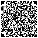 QR code with County of Pulaski contacts