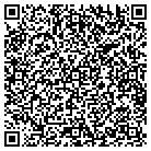 QR code with Professional Auto Sales contacts