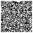 QR code with Credible Solutions contacts
