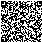 QR code with Pulaski County Garage contacts