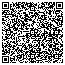 QR code with Protection Systems contacts