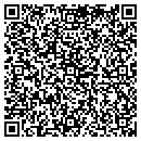 QR code with Pyramid Painting contacts