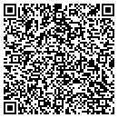 QR code with Premier Industries contacts