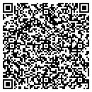 QR code with Premier Bandag contacts