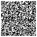 QR code with Profitmore Systems contacts