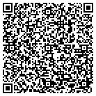 QR code with Pulau Electronics Corp contacts