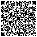 QR code with Pro Power Tools contacts