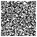 QR code with Carpet Store contacts