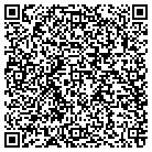 QR code with Pulaski County Judge contacts