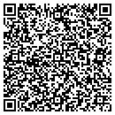 QR code with Premier Car Company contacts