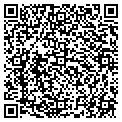 QR code with Pilot contacts