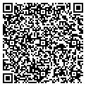 QR code with Ellis contacts