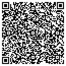 QR code with Project Brainstorm contacts