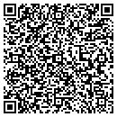 QR code with Public Access contacts